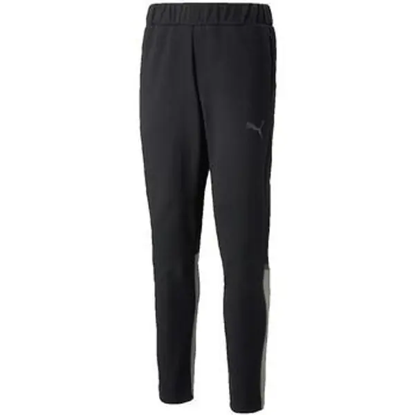 Puma Puma  Donji dio trenirke Pantalon de survêtement  teamCUP Casuals  Puma