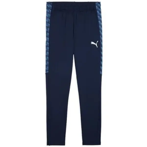 Puma Puma  Donji dio trenirke TeamLIGA26  Puma
