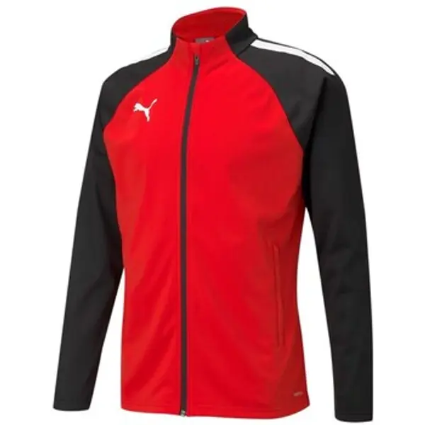 Puma Puma  Gornji dijelovi trenirke Teamliga Poly Rot  Puma