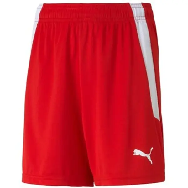 Puma Puma  Hlače 3/4 i 7/8 Teamliga  Puma