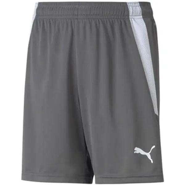 Puma Puma  Hlače 3/4 i 7/8 Teamliga  Puma