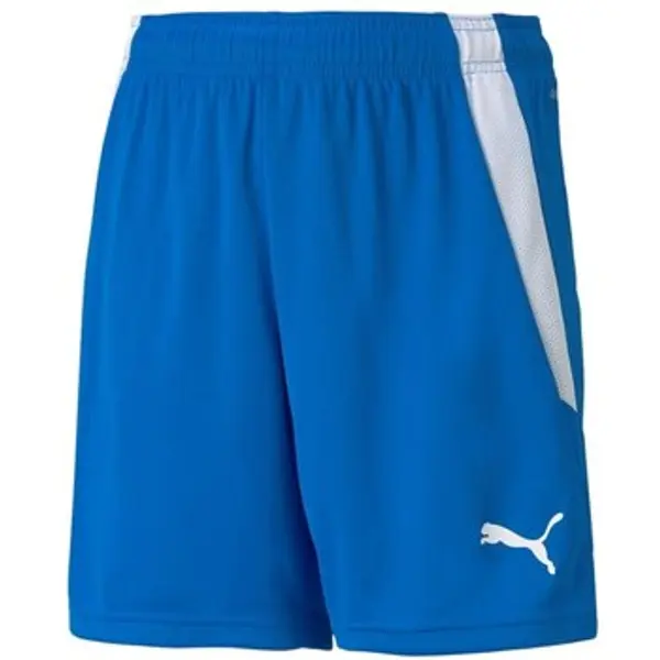 Puma Puma  Hlače 3/4 i 7/8 Teamliga  Puma