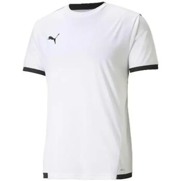 Puma Puma  Kupaći kostimi / Kupaće gaće Teamliga  Puma