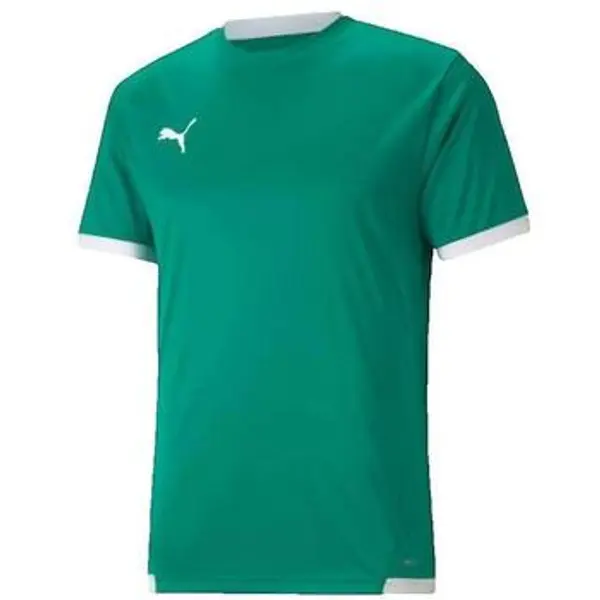 Puma Puma  Majice kratkih rukava T-shirt  Teamliga Jersey  Puma