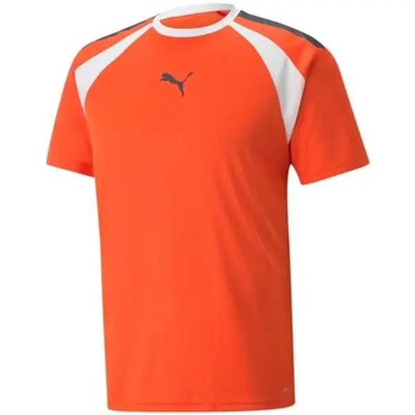 Puma Puma  Majice kratkih rukava Teamliga  Puma
