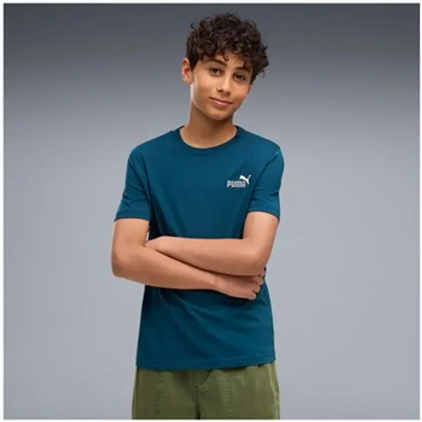 Puma Puma  Majice / Polo majice Ess 2 Color Small No. 1 Logo Tee B  Puma