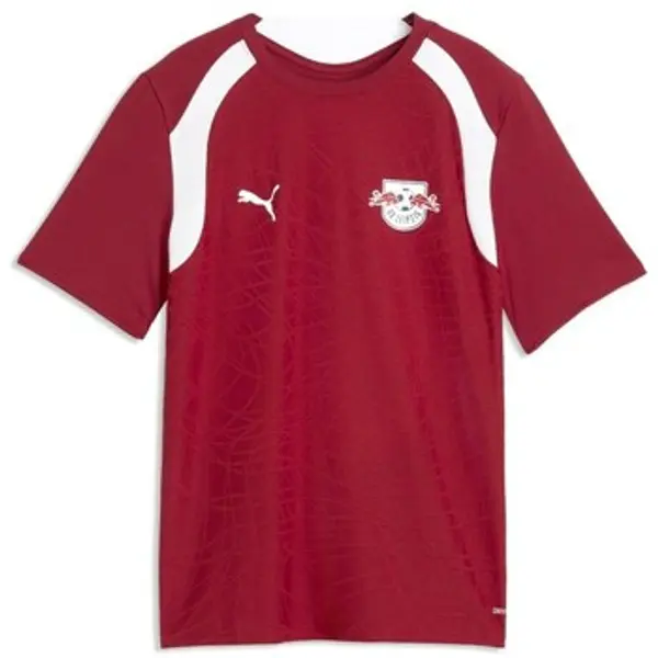 Puma Puma  Majice / Polo majice RBL  Puma