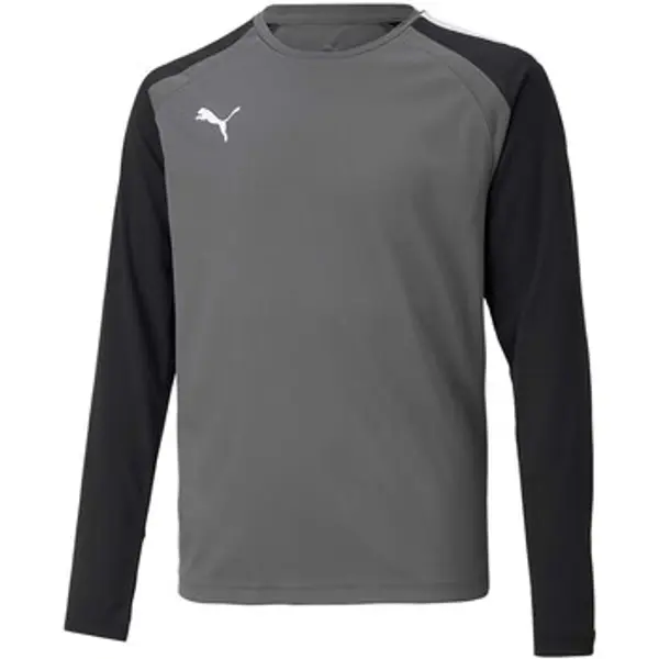 Puma Puma  Majice / Polo majice Teampacer Gk Ls Jersey Jr  Puma