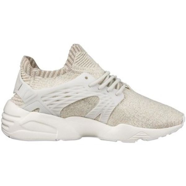 Puma Puma  Modne tenisice BLAZE CAGE EVO KNIT WN'S  Puma