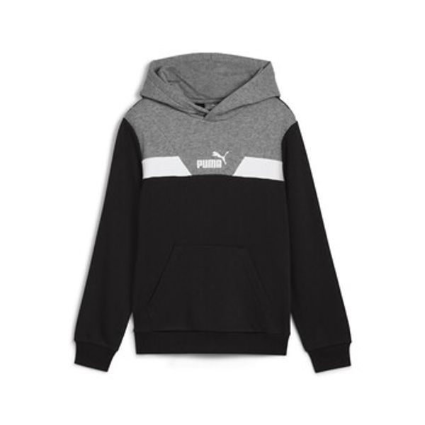 Puma Puma  Sportske majice POWER COLORBLOCK HOODIE TR  Puma
