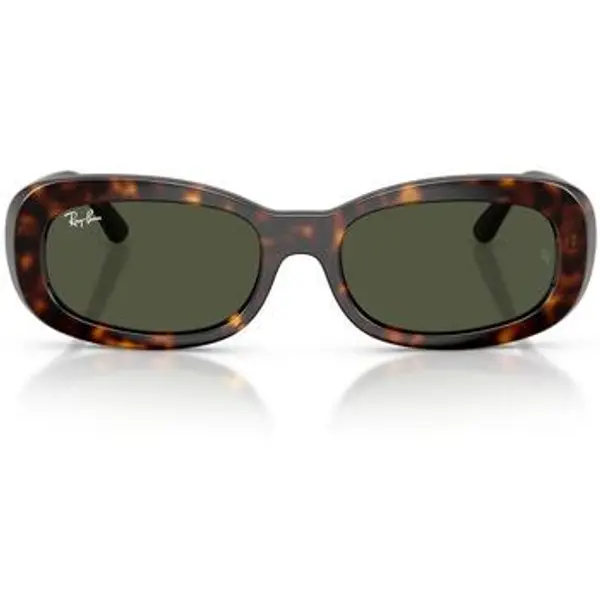 Ray-ban Ray-ban  Sunčane naočale 0RB2221 902/31  Ray-ban