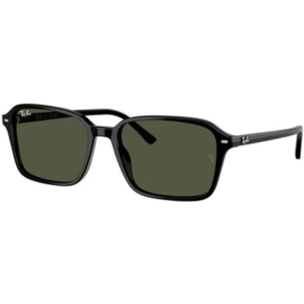 Ray-ban Ray-ban  Sunčane naočale Occhiali da Sole  Raimond RB2231 901/31  Ray-ban