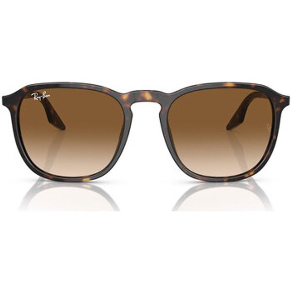 Ray-ban Ray-ban  Sunčane naočale Occhiali da Sole  RB2203 902/51  Ray-ban