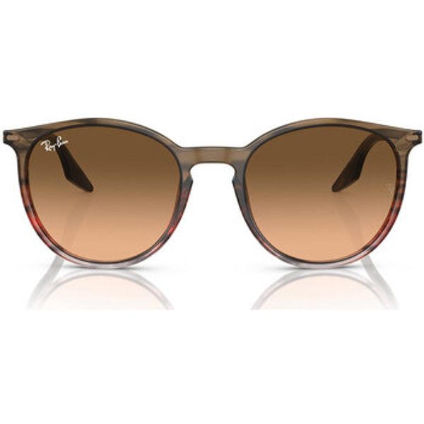 Ray-ban Ray-ban  Sunčane naočale Occhiali da Sole  RB2204 13953B  Ray-ban