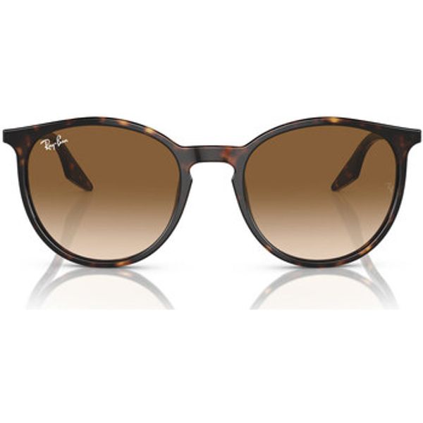Ray-ban Ray-ban  Sunčane naočale Occhiali da Sole  RB2204 902/51  Ray-ban