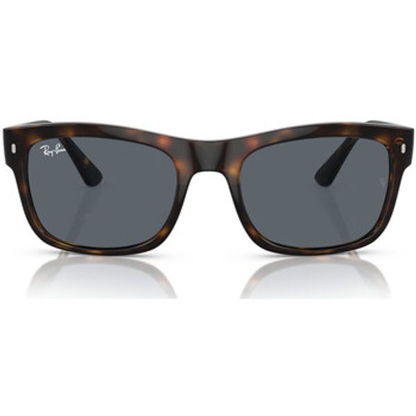 Ray-ban Ray-ban  Sunčane naočale Occhiali da Sole  RB4428 710/R5  Ray-ban