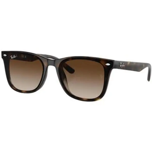 Ray-ban Ray-ban  Sunčane naočale UNISEX 0RB4420 710/13  Ray-ban