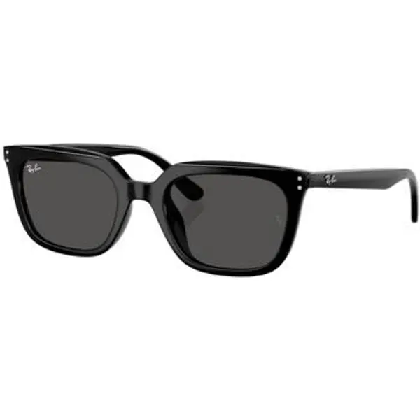 Ray-ban Ray-ban  Sunčane naočale UNISEX 0RB4439D 901/87  Ray-ban
