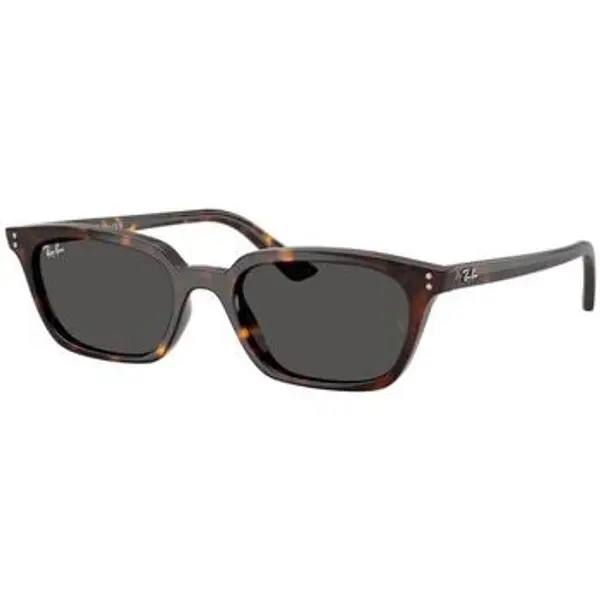 Ray-ban Ray-ban  Sunčane naočale ZAYA UNISEX 0RB4456 135987  Ray-ban