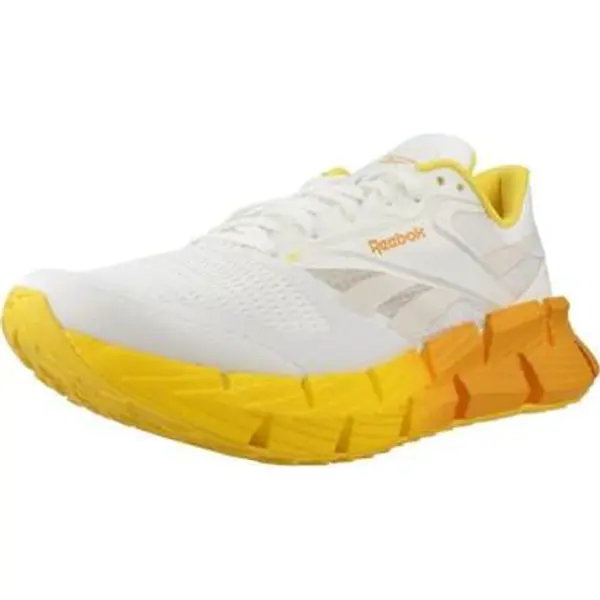 Reebok Sport Reebok Sport  Niske tenisice Sport   Zapatillas Hombre Modèle Floatzig 1  Reebok Sport