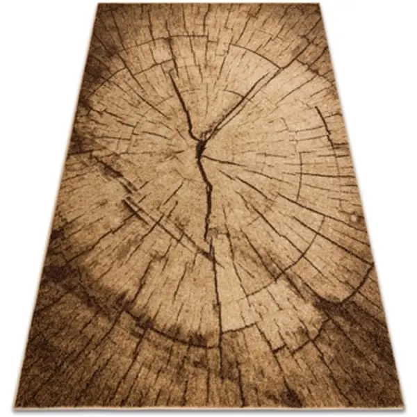 Rugsx Rugsx  Tepisi Tepih SILVER TRONKO Deblo stablo drvo - 240x340 cm  Rugsx