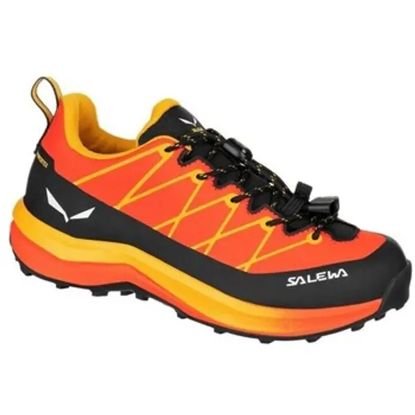 Salewa Salewa  Niske tenisice Wildfire 2 Ptx  Salewa