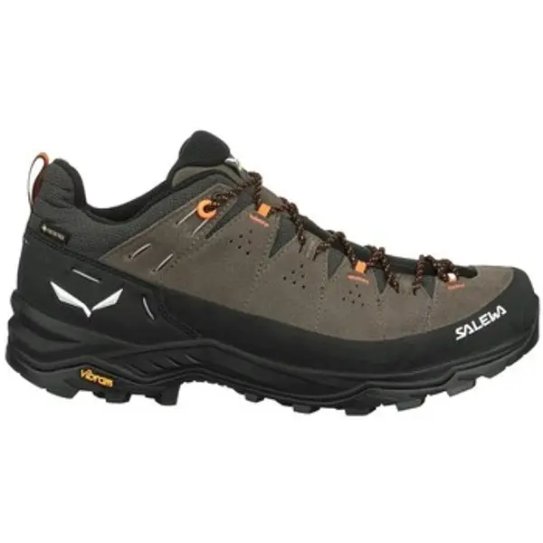 Salewa Salewa  Pješaćenje i planinarenje Alp Trainer 2 Gtx  Salewa