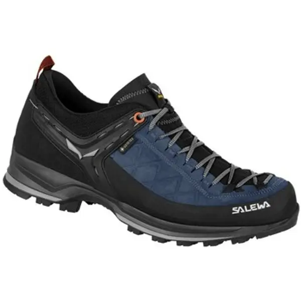 Salewa Salewa  Pješaćenje i planinarenje Mtn Trainer 2 Gtx  Salewa
