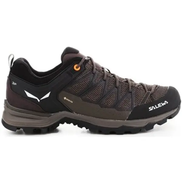 Salewa Salewa  Pješaćenje i planinarenje Mtn Trainer Lite Gtx  Salewa