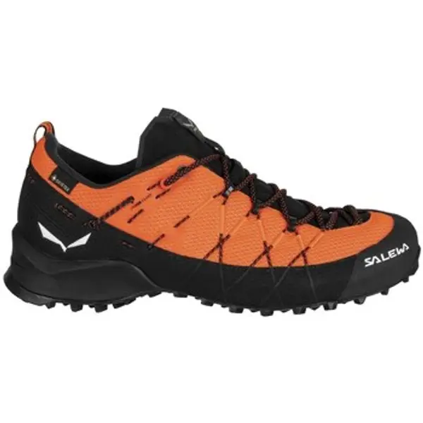 Salewa Salewa  Pješaćenje i planinarenje Wildfire 2 Gtx  Salewa