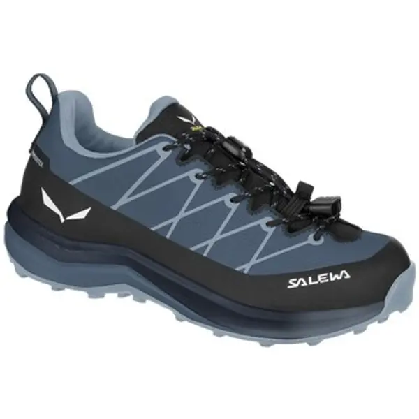 Salewa Salewa  Pješaćenje i planinarenje Wildfire 2 Ptx  Salewa