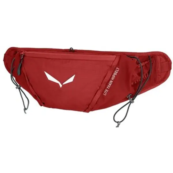 Salewa Salewa  Ručne torbe Lite Train Hipbelt  Salewa