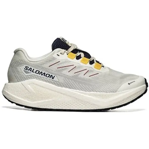 Salomon Salomon  Modne tenisice Aero Blaze 3 Grvl GTX  Salomon
