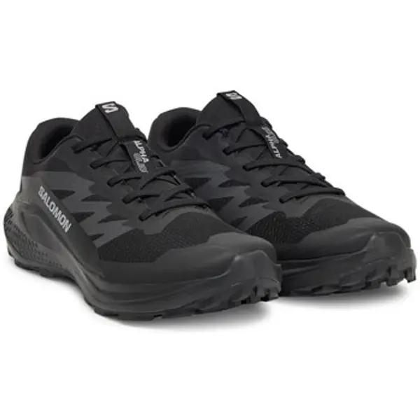 Salomon Salomon  Niske cipele Alphaglide  Salomon