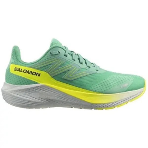 Salomon Salomon  Niske tenisice Aero Blaze W  Salomon
