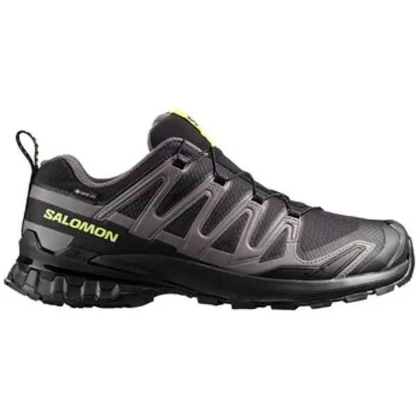 Salomon Salomon  Niske tenisice Xa Pro 3d V9 Gtx  Salomon
