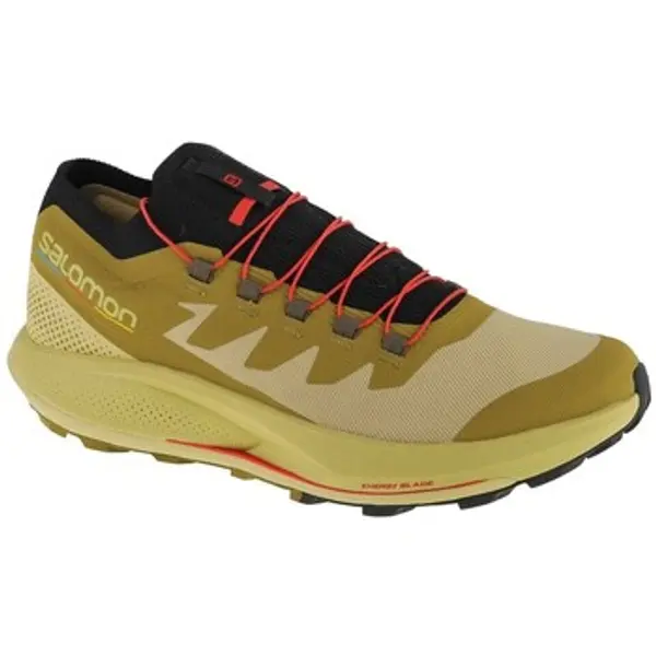 Salomon Salomon  Pješaćenje i planinarenje Pulsar Trailpro  Salomon