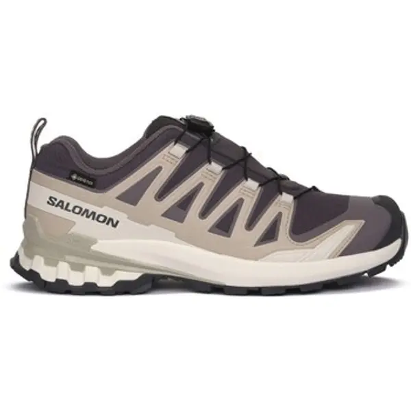 Salomon Salomon  Pješaćenje i planinarenje Xa Pro 3d V9 Gtx W  Salomon