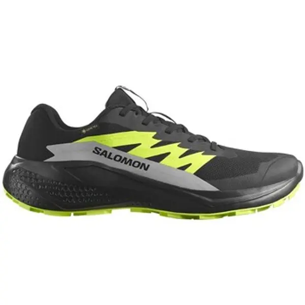 Salomon Salomon  Running/Trail Alphaglide Gtx  Salomon