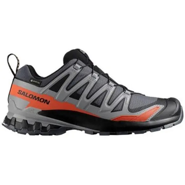Salomon Salomon  Running/Trail Xa Pro 3d V9 Gtx  Salomon