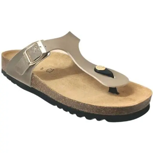 Scholl Scholl  Japanke Nicole S  Scholl