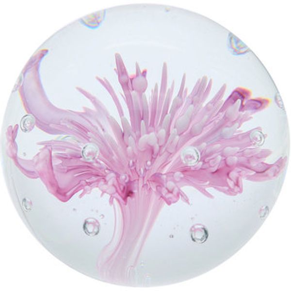 Signes Grimalt Signes Grimalt  Dekorativni predmeti Cvijet Pisapapeles  Signes Grimalt