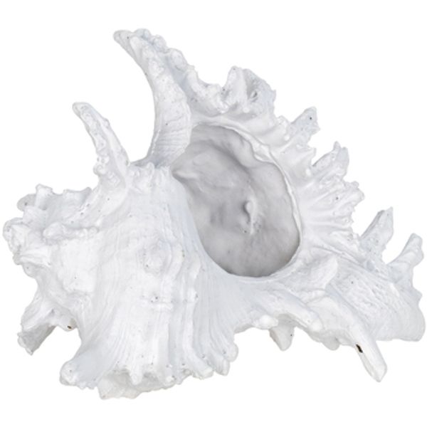 Signes Grimalt Signes Grimalt  Dekorativni predmeti Ljuska  Signes Grimalt