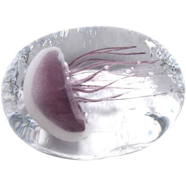 Signes Grimalt Signes Grimalt  Dekorativni predmeti Pisappel Medusa  Signes Grimalt