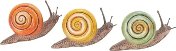 Signes Grimalt Signes Grimalt  Dekorativni predmeti Puž 3U  Signes Grimalt