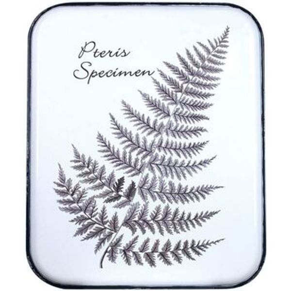 Signes Grimalt Signes Grimalt  Dekorativni predmeti Ukras Za Zid Lišća  Signes Grimalt