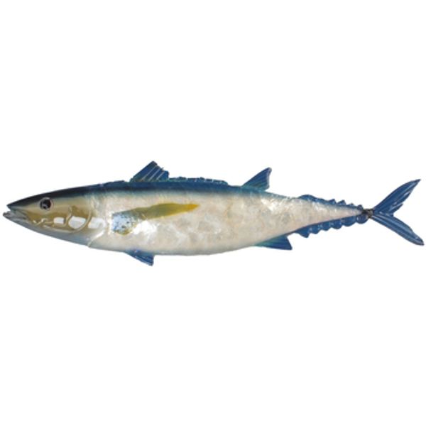 Signes Grimalt Signes Grimalt  Dekorativni predmeti Zidni Ukras S Bisernom Ribom  Signes Grimalt