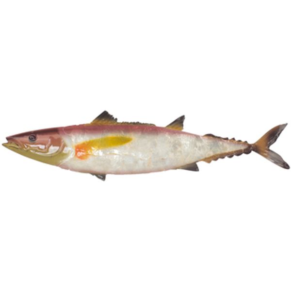 Signes Grimalt Signes Grimalt  Dekorativni predmeti Zidni Ukras S Bisernom Ribom  Signes Grimalt