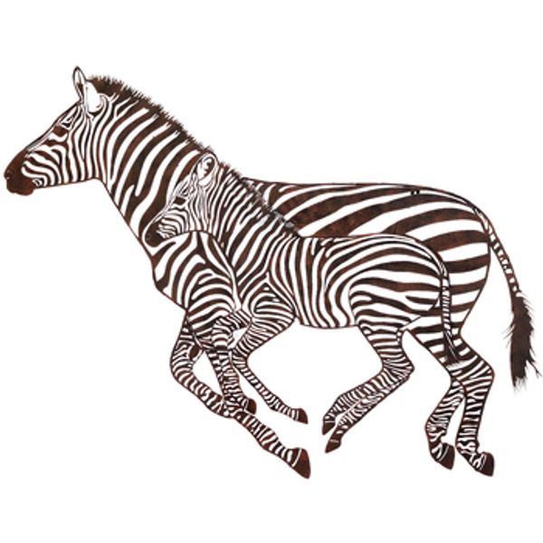 Signes Grimalt Signes Grimalt  Slike i platna Cebra Zidna Ukras  Signes Grimalt