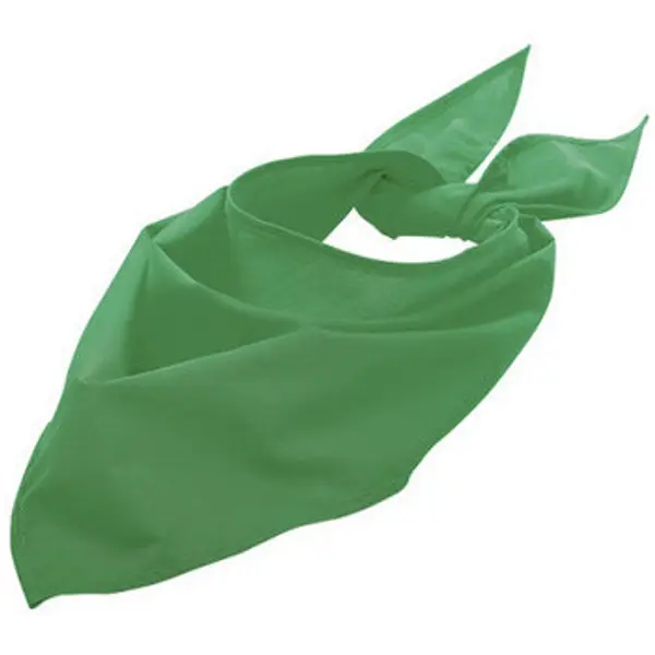 Sols Sols  Šalovi, pašmine i marame Prairie Green Bandana - Dodatak za vratni al  Sols